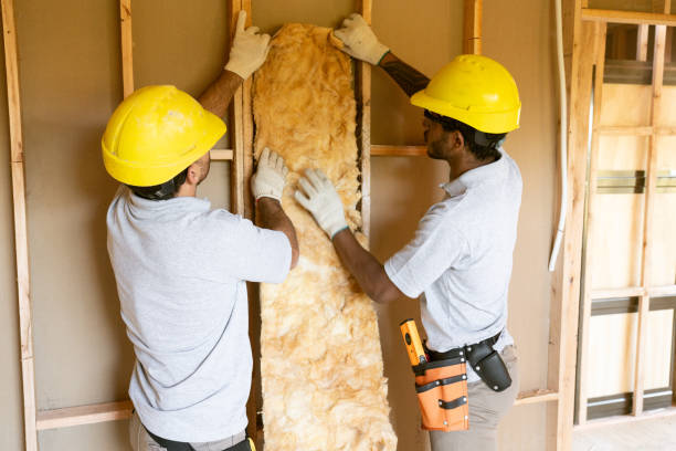 Professional Insulation in North Potomac, MD